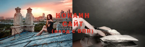 не бодяженный Арсеньев