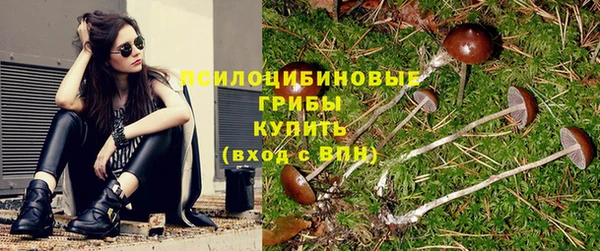 не бодяженный Арсеньев