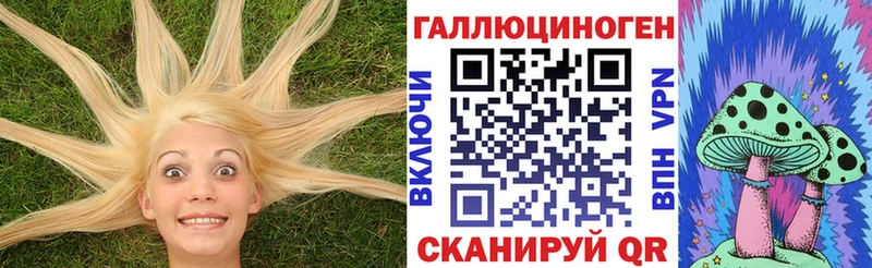закладки  shop Telegram  МЕГА как зайти  Галлюциногенные грибы мухоморы  Спасск-Рязанский 