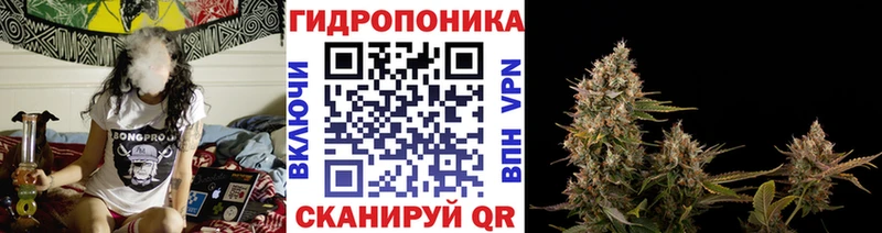ОМГ ОМГ ссылки  Спасск-Рязанский  Бошки марихуана гибрид 